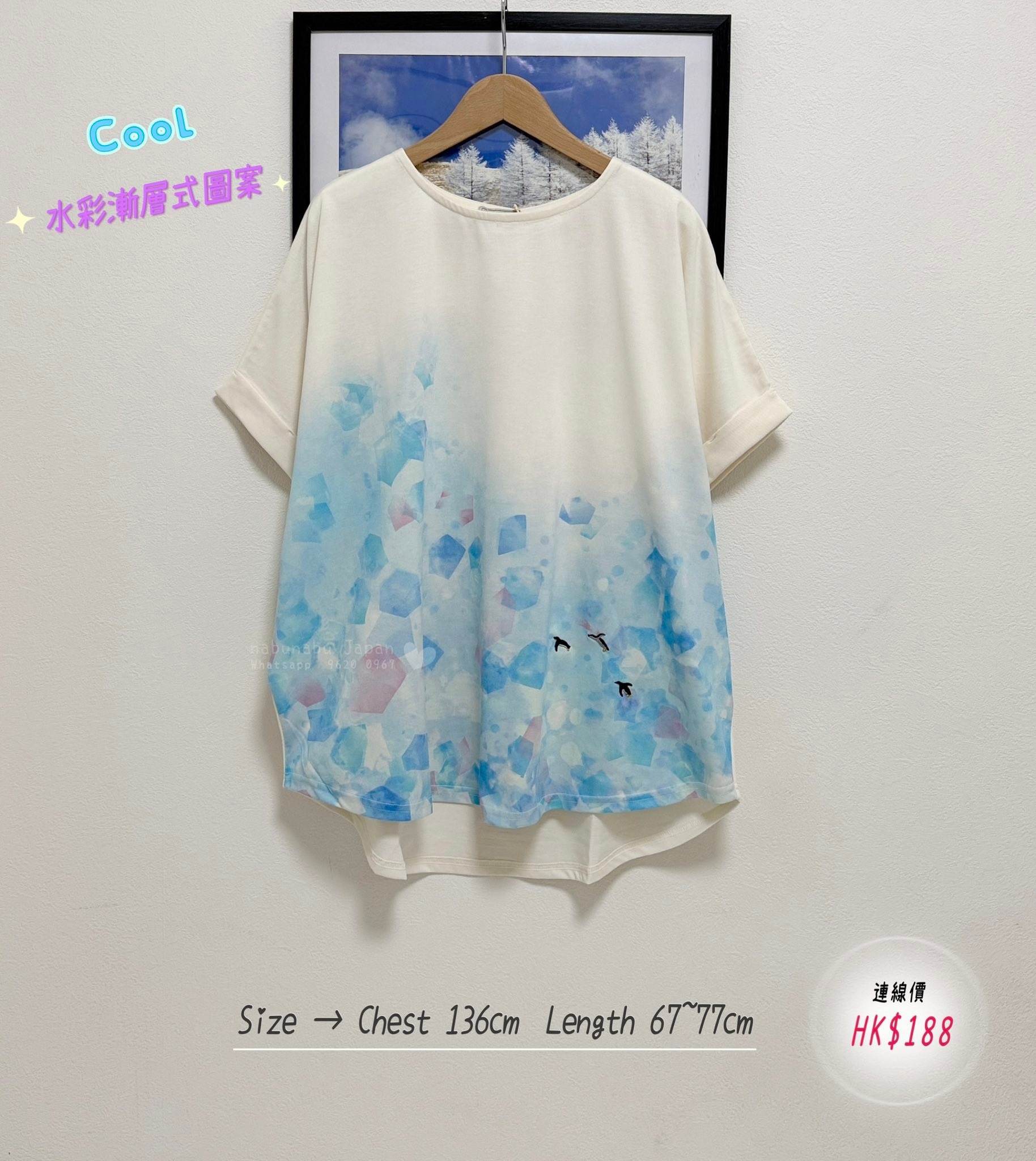 日本最新出彩色水彩石圖案x刺繡🐧圖案漸層式棉質 Top