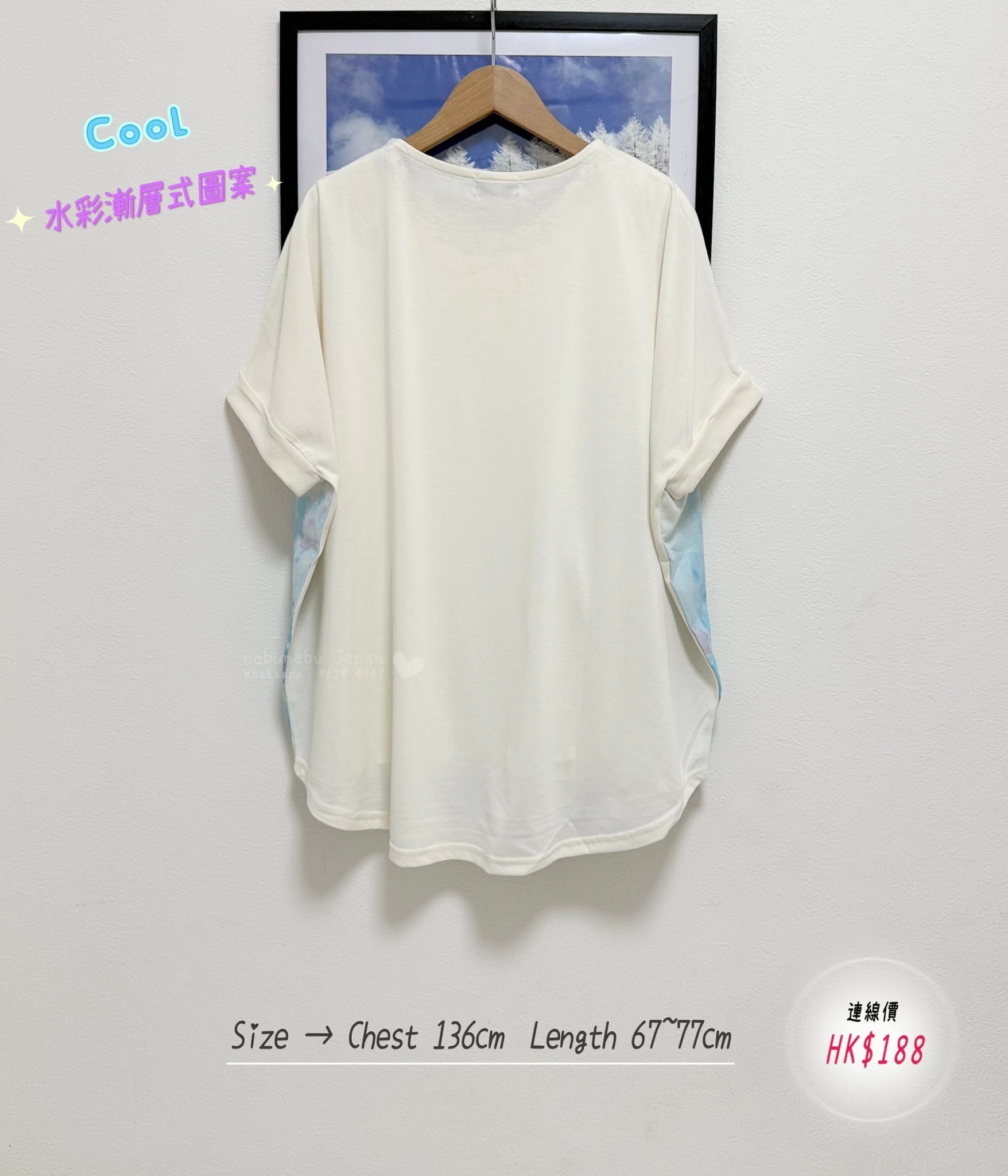 日本最新出彩色水彩石圖案x刺繡🐧圖案漸層式棉質 Top